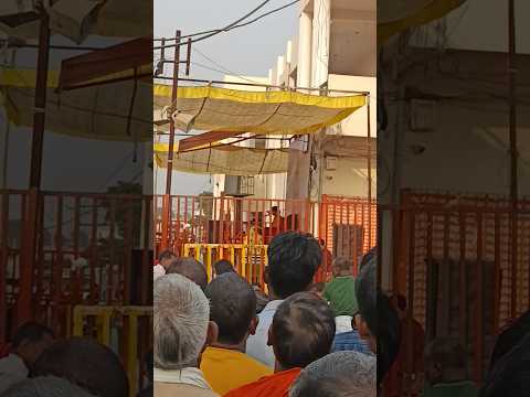 Guri ji ka divya darbar || Bageshwar dham sarkar || Balaji shorts || live darbar bageshwar dham 🚩🚩