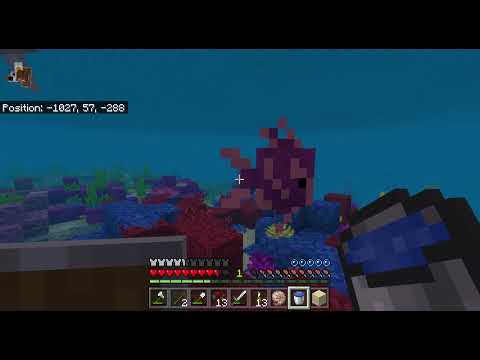 Minecraft 5 Exploring the ocean