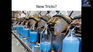 Agile Inspiration from Biology, Kubernetes Cluster Security