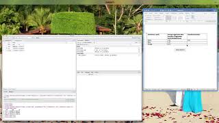 FIU Ecology Lab: RTutorial Video