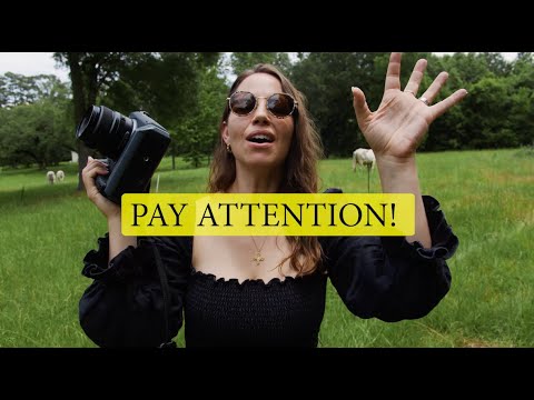 Tips To Master Harsh MID-DAY Light Photography