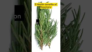 5 Health Benefits of Rosemary
