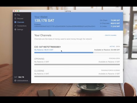 ⚡️ Cross-Implementation Lightning Payment on Bitcoin's Mainnet ⚡️