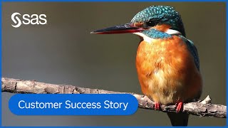 World Wildlife Fund | Personalized Donor Engagement for Greater Conservation Impact | SAS Customers