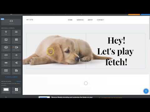 Displaying a member directory in Weebly with Community Box