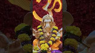 Ganpati Bappa Morya 🙏!  #ganapati #ganeshchaturthi #ganapatibappamorya