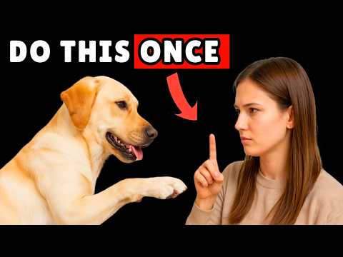 Do This Once & Your Dog Will Stop Jumping Forever