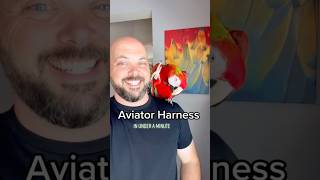 Aviator Harness in under 1 minute