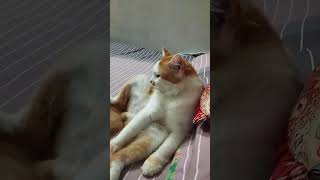 # Kio# Nice # Nice sleep