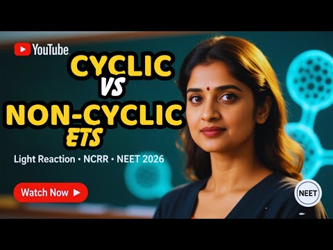 Photosynthesis Part 3: Cyclic vs Non-Cyclic ETS | NCERT Class 11 | NEET 2026 Revision