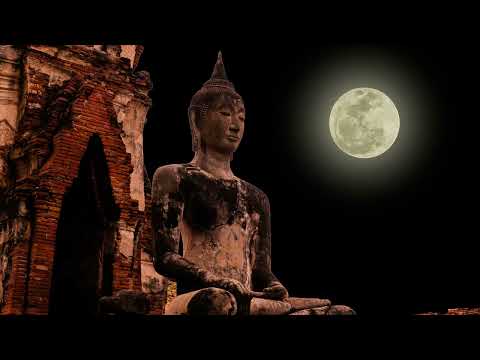 Light of Night | Flute Song