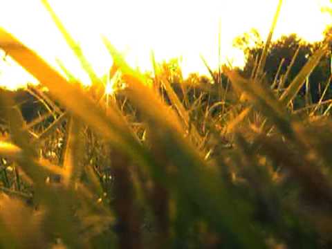 16bitTV promo final
