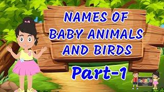 Names Of Baby Animals and Birds  1 | Baby Animals and Birds | KooBoo |  English Kids Learning