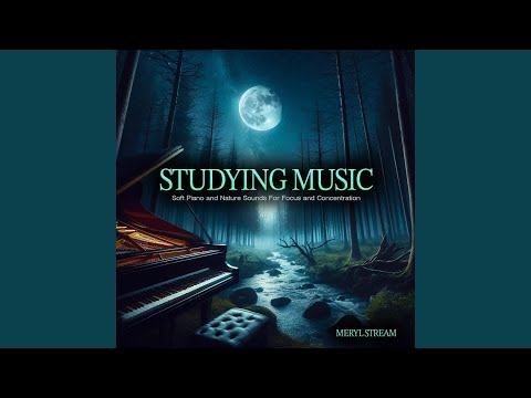 Serene Focus Music Bliss