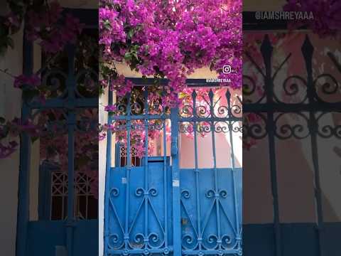 Work from GREECE 🇬🇷  💜💜 #travel #greece #greecetour #athens
