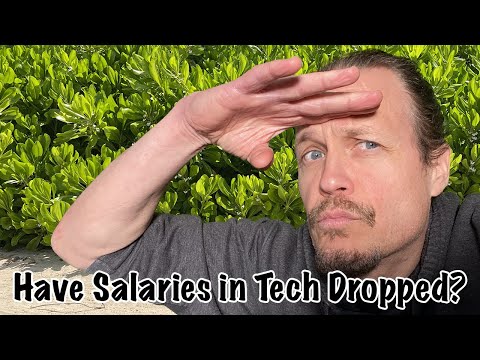 Have Salaries in Tech Dropped in 2023? Let's Find Out.