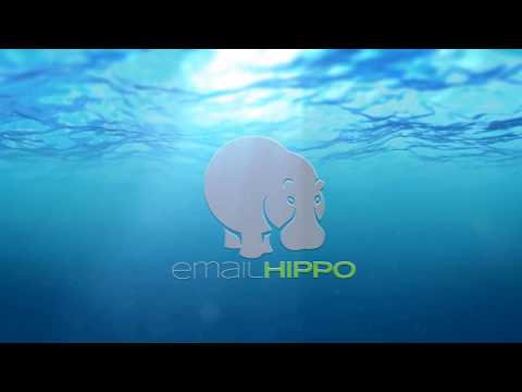 A guide to disposable email addresses (DEA's) by Email Hippo Part 2