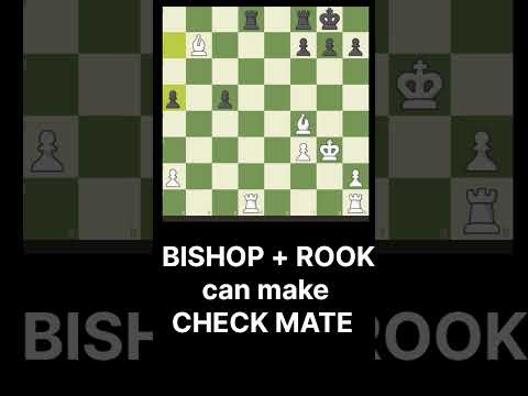 BishopS+ROOKS. AWSOME #chessgame #chessstrategy #chesscom #chessstrategyforbeginners #chessvideoplus
