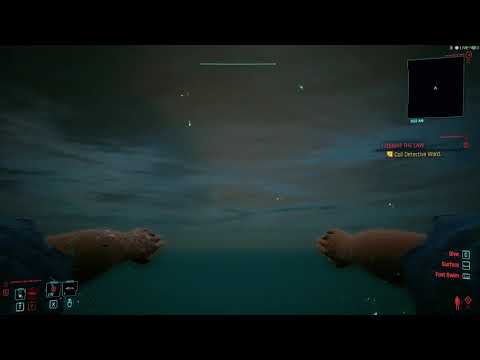 How to fly in Cyberpunk 2077
