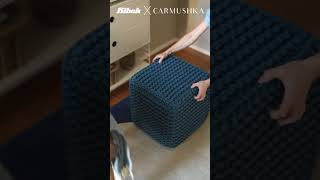 Artsy & Special I Kibek X Carmushka