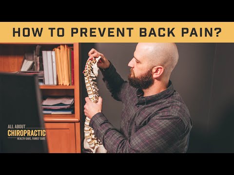 Lower Back Stretches for Back Pain Relief