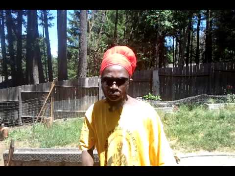 Paapa Wastik announcing the up coming interview on Reggae4Us