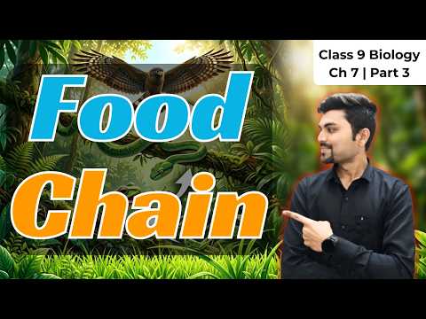 Food Chain Explained | Types of Food Chain | Class 9 Biology Ch 7 | Part 3