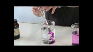 Video 10 - TEST TO OBSERVE DIFFUSION.mov