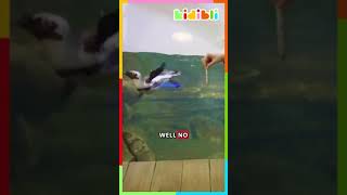 Sharing is caring 🐟 #shorts #abc123 #educationalvideos #familyfun #fun #funforkids #funwithnumbers