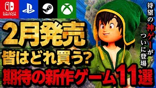 [Switch2/PS5/Steam/XBOX] 11 New Games Released in February! From the Hottest Promised Masterpiece...