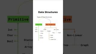 Types of Data Structures | Primitive & Non-Primitive | DSA Basics #coding #programming #datastructur