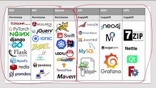 Software Licensing (Permissive / Copyleft)