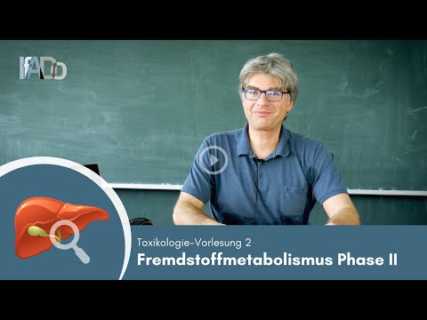 Toxicology Explained: Xenobiotic Metabolism Phase II (Lecture 2)