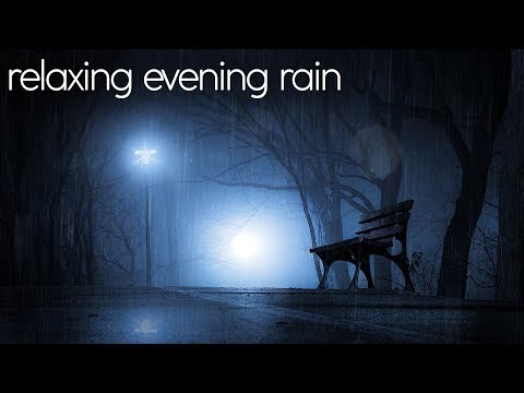 Relaxing Rain Ambience 🌧️ Evening Rain Sounds for Sleeping 💤 8 Hours