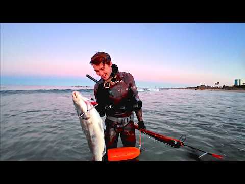 3 DAYS chasing the White Steenbras in South Africa