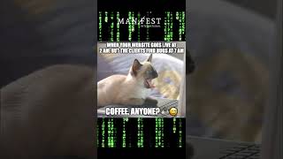 Programming jokes || funny cats
