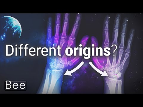 Your Left Hand might be of Different Origins than Your Right One. Here's Why.