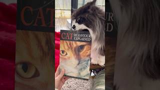 New cat book for the bookcase 🐱📚#catbooks #catsandbooks #cutecat #lovecats #cat #cats #catshorts