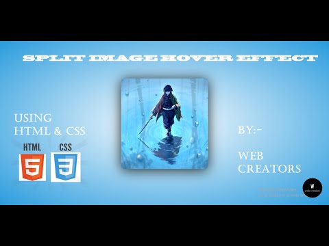 Image hover Effect Using HTML & CSS | Web Creators
