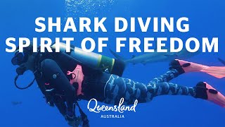 Adventures Like This | Shark Dive with Spirit of Freedom