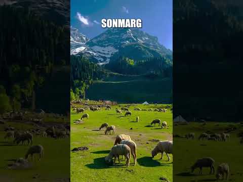 Kashmir trip with plane animation