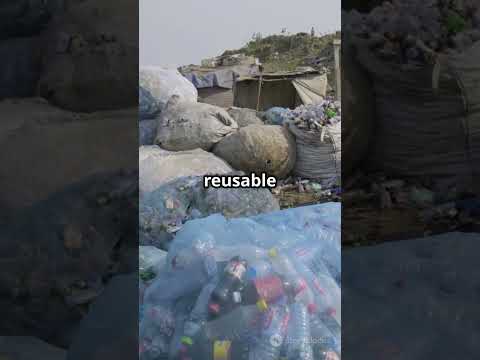 Plastic Eating Enzyme Revolutionizes Recycling