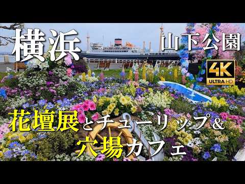 【横浜散歩】花壇展とチューリップ🌷500円で菓子+珈琲の穴場カフェ｜横浜公園,山下公園を巡る