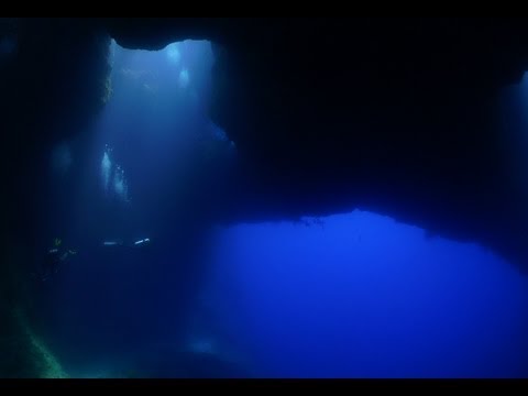 Diving Palau HD