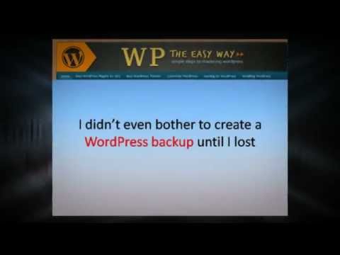 Top 4 WordPress Backup Tips