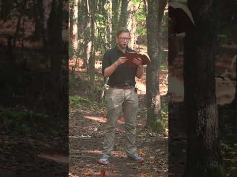 Living in Sin? You’re Rejecting the Holy Spirit ⚠️🔥#HolySpiritWarning #UnforgivableSin #TrueFaith