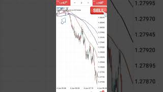 The most profitable Trading robot you need in 2024 #foryou #trading #robotrade