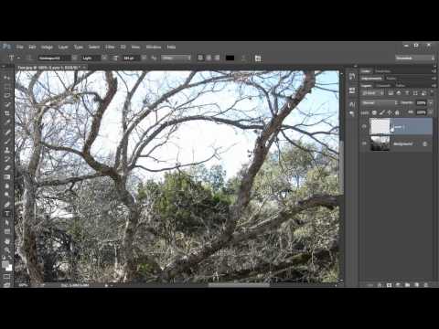 Adobe Photoshop CC Essential Training - Part 5
