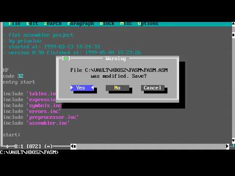 20 years of flat assembler development (Unedited live session)
