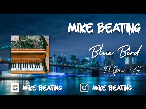[FREE] OLD SCHOOL BOOMBAP BEAT 2021 | "Blue Bird" | Old School Hiphop Type Beat by Mike Beating